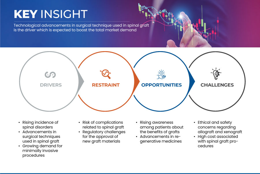 Europe Spinal Allografts and Xenograft Market