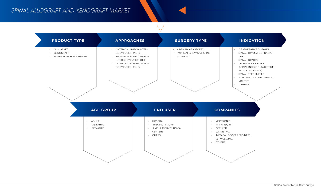 Europe Spinal Allografts and Xenograft Market