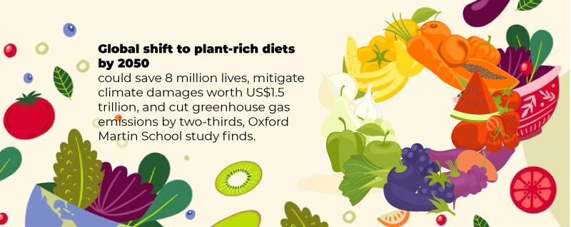 Thriving on plant-based protein: solutions for a sustainable future, Stories