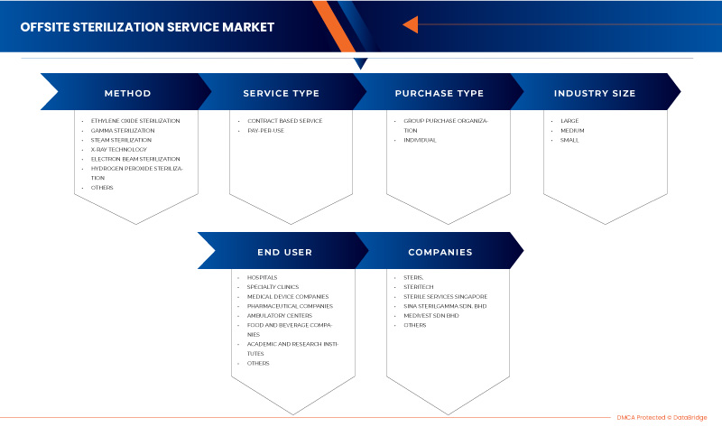 Asia-Pacific Offsite Sterilization Service Market