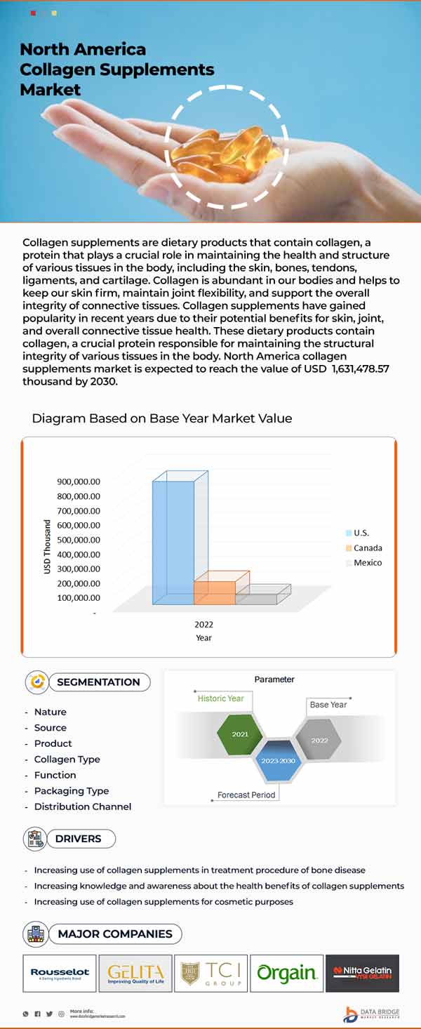 North America Collagen Supplements Market