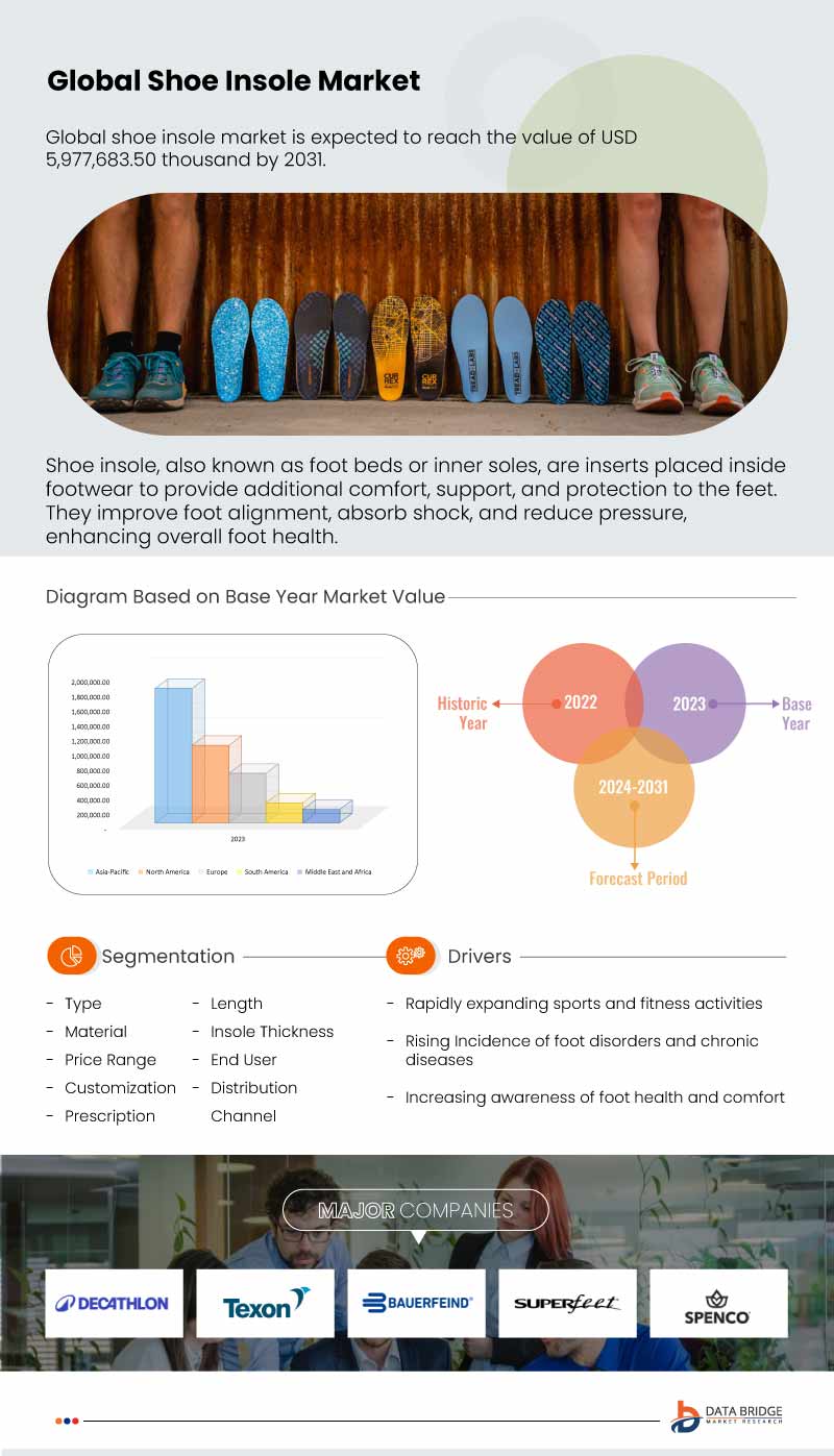 Shoe Insole Market