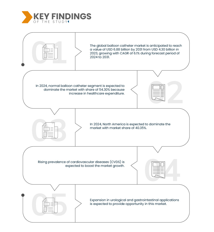 Balloon Catheter Market