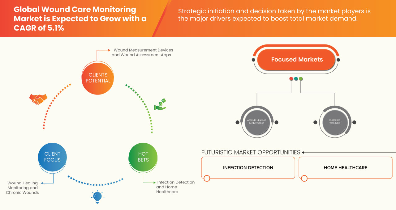 Wound Care Monitoring Market Share