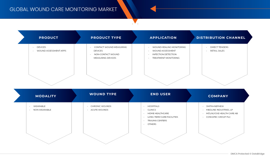 Wound Care Monitoring Market Growth