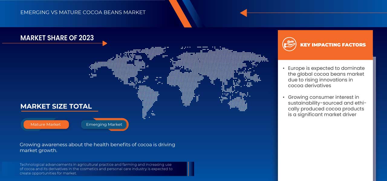 Cocoa Beans Market