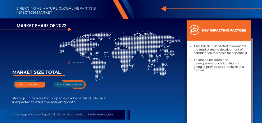 Hepatitis B Infection Market