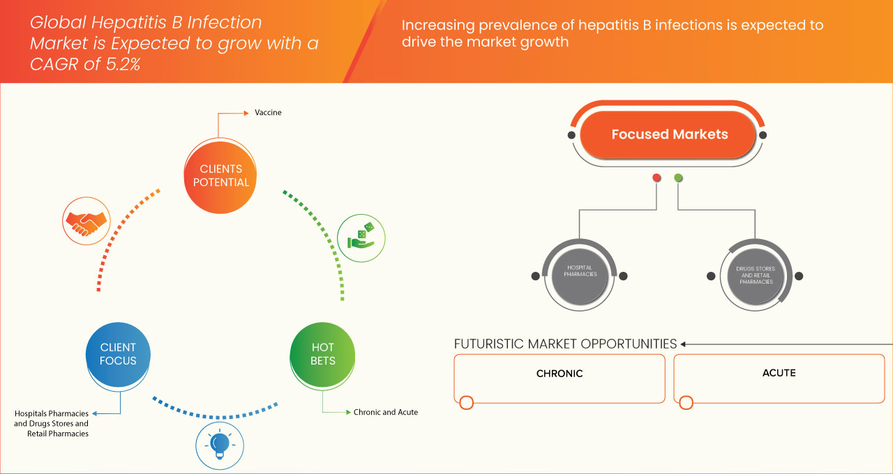 Hepatitis B Infection Market