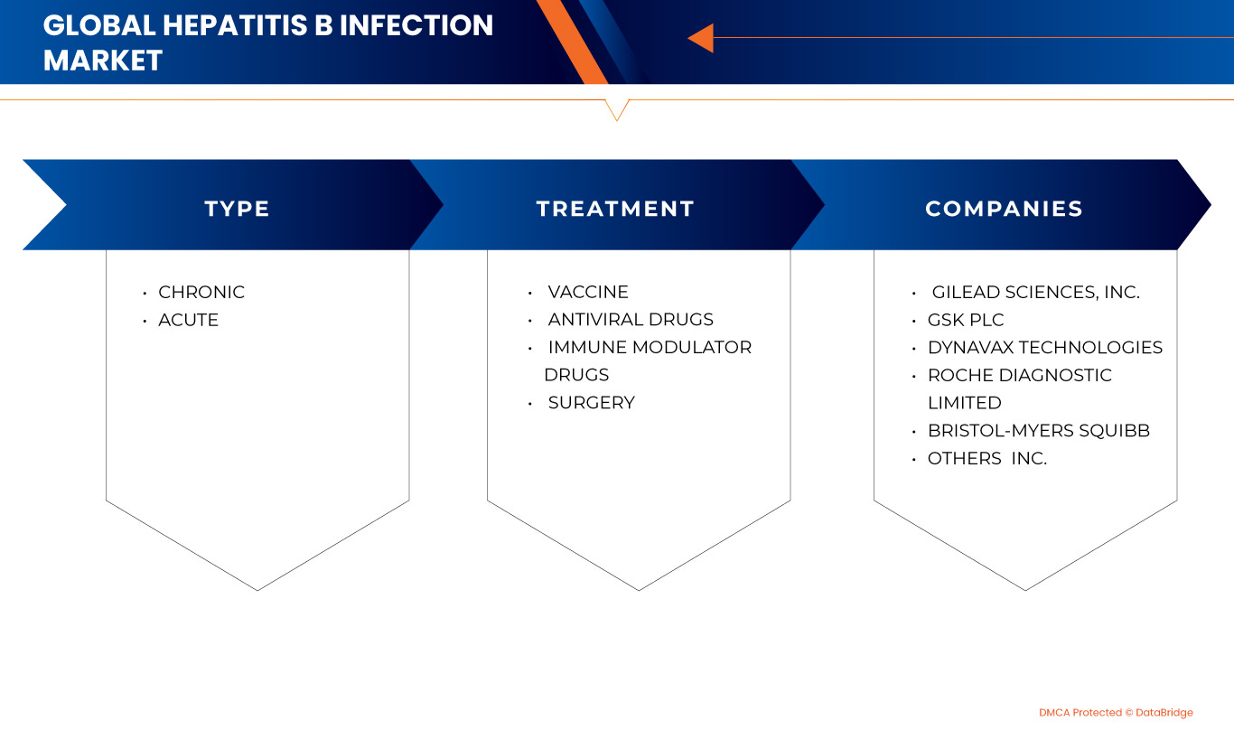 Hepatitis B Infection Market