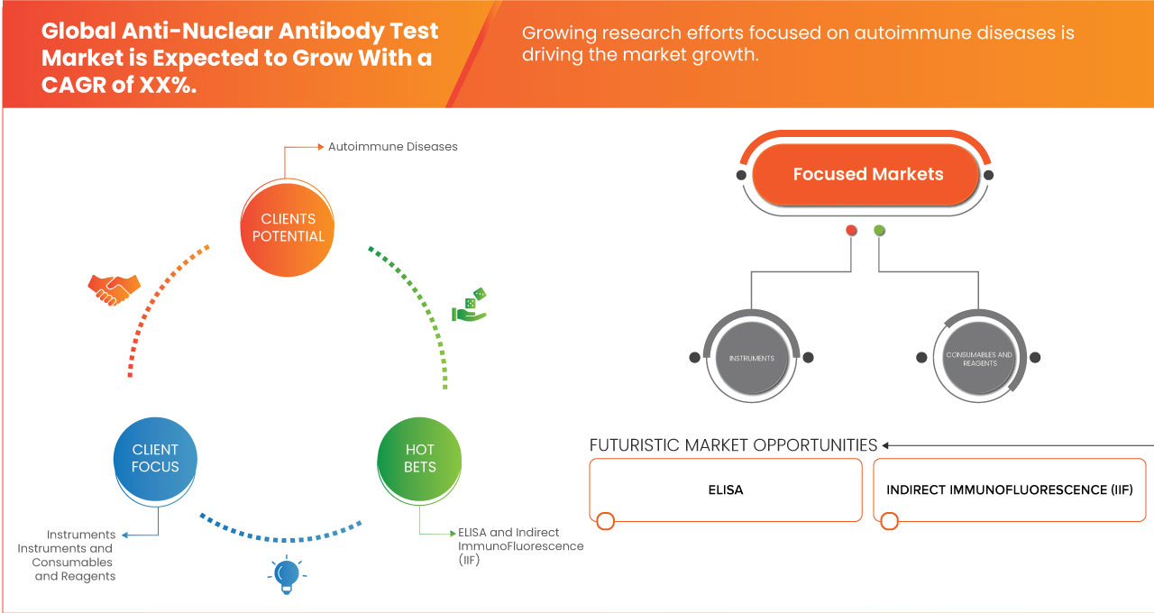 Anti-Nuclear Antibody Test Market