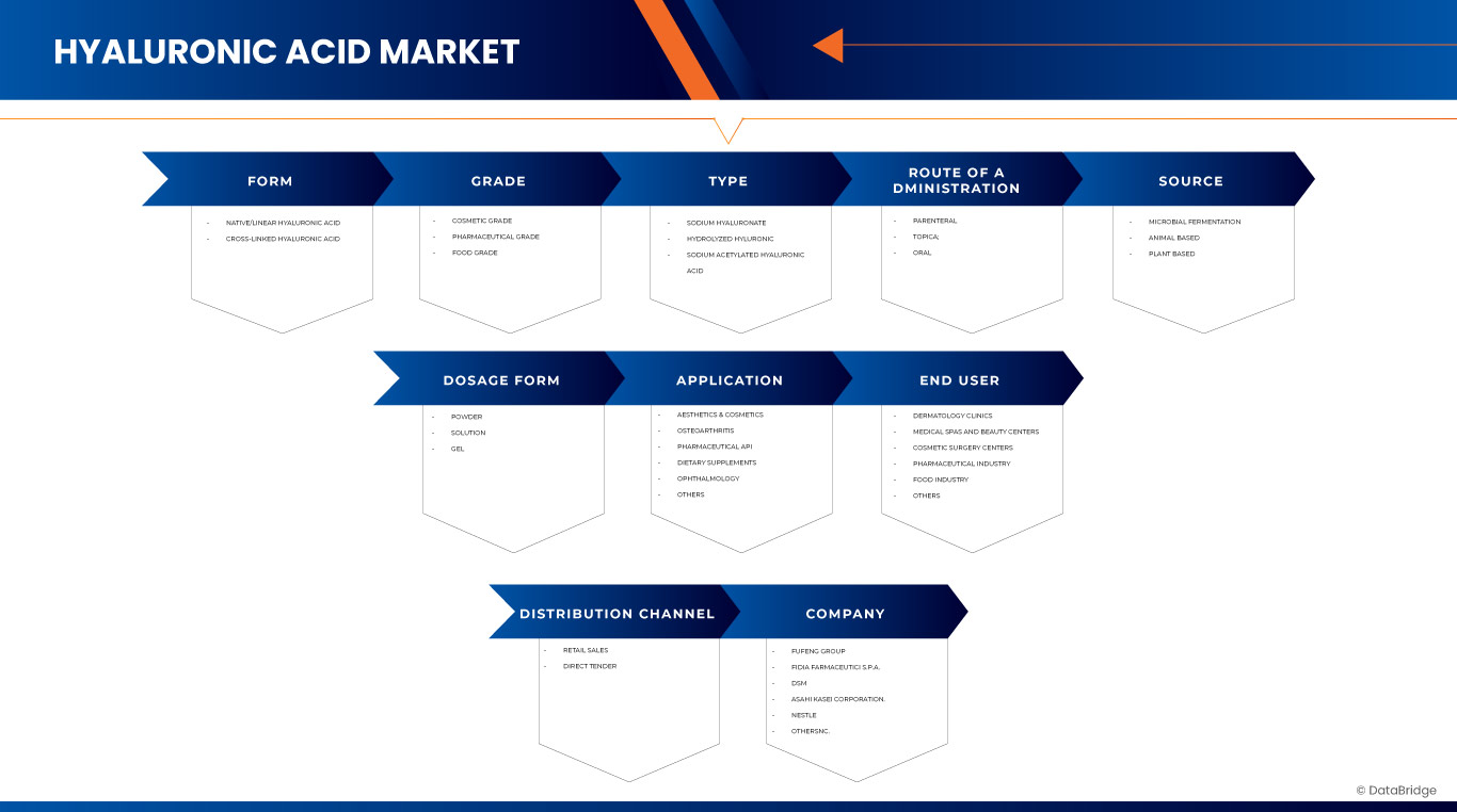 Europe Hyaluronic Acid Market