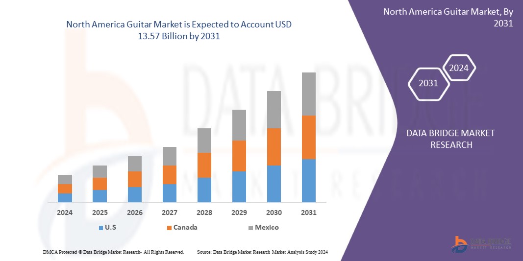 North America Guitar Market