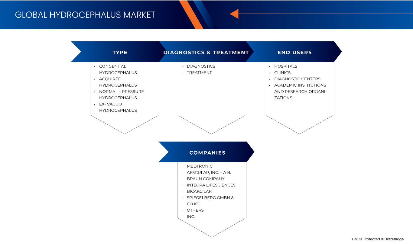 Hydrocephalus Market