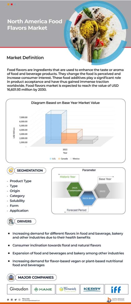 North America Food Flavors Market