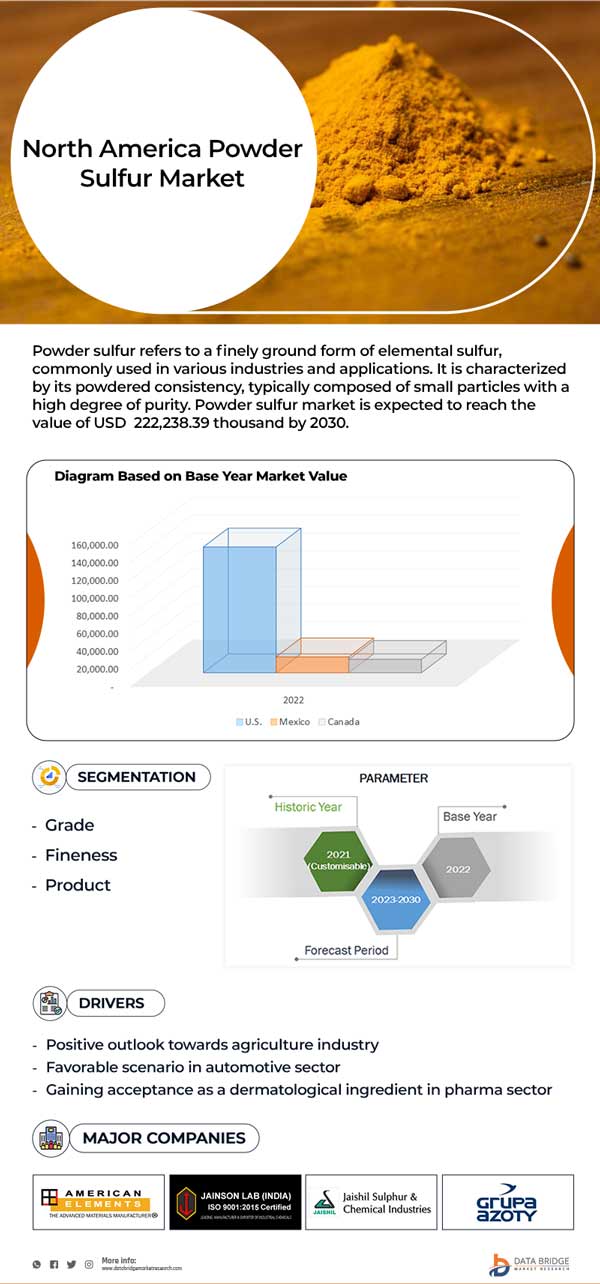 North America Powder Sulfur Market