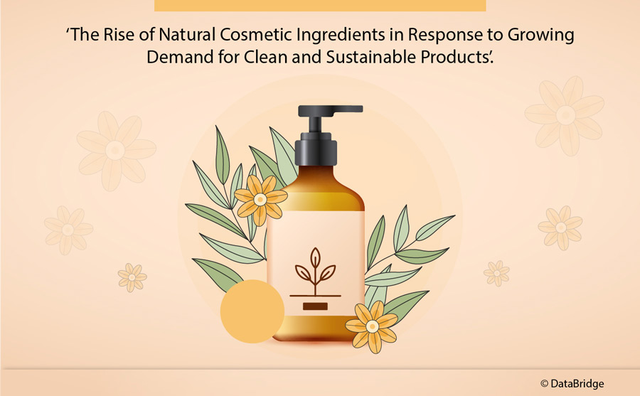 The Rise of Natural Cosmetic Ingredients in Response to Growing Demand for Clean and Sustainable Products