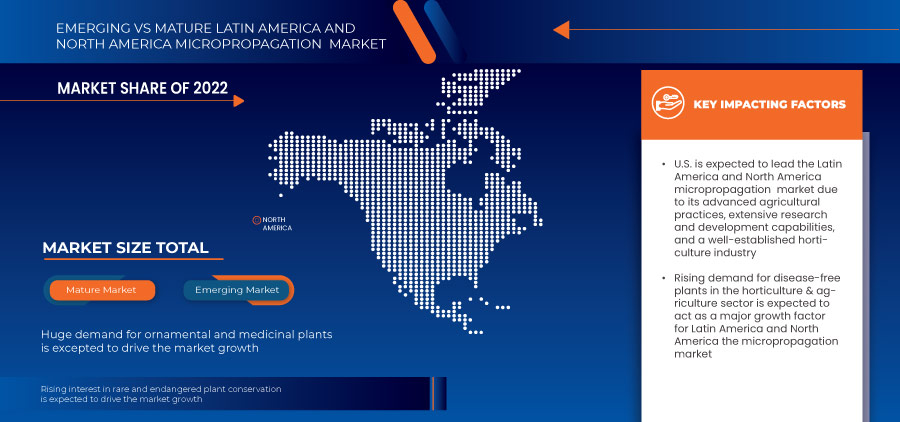 Latin America and North America Micropropagation Market