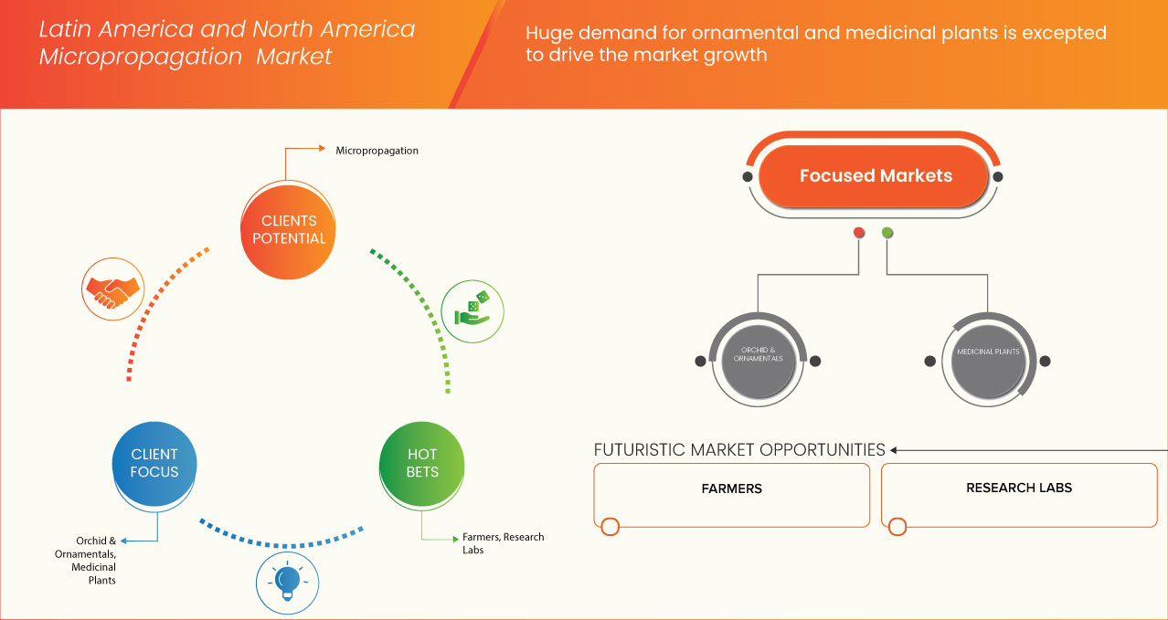 Latin America and North America Micropropagation Market