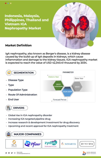 Indonesia, Malaysia, Thailand, Philippines and Vietnam IgA Nephropathy Market