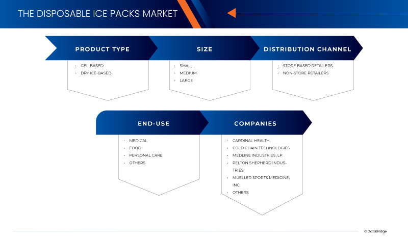 Disposable Ice Packs Market