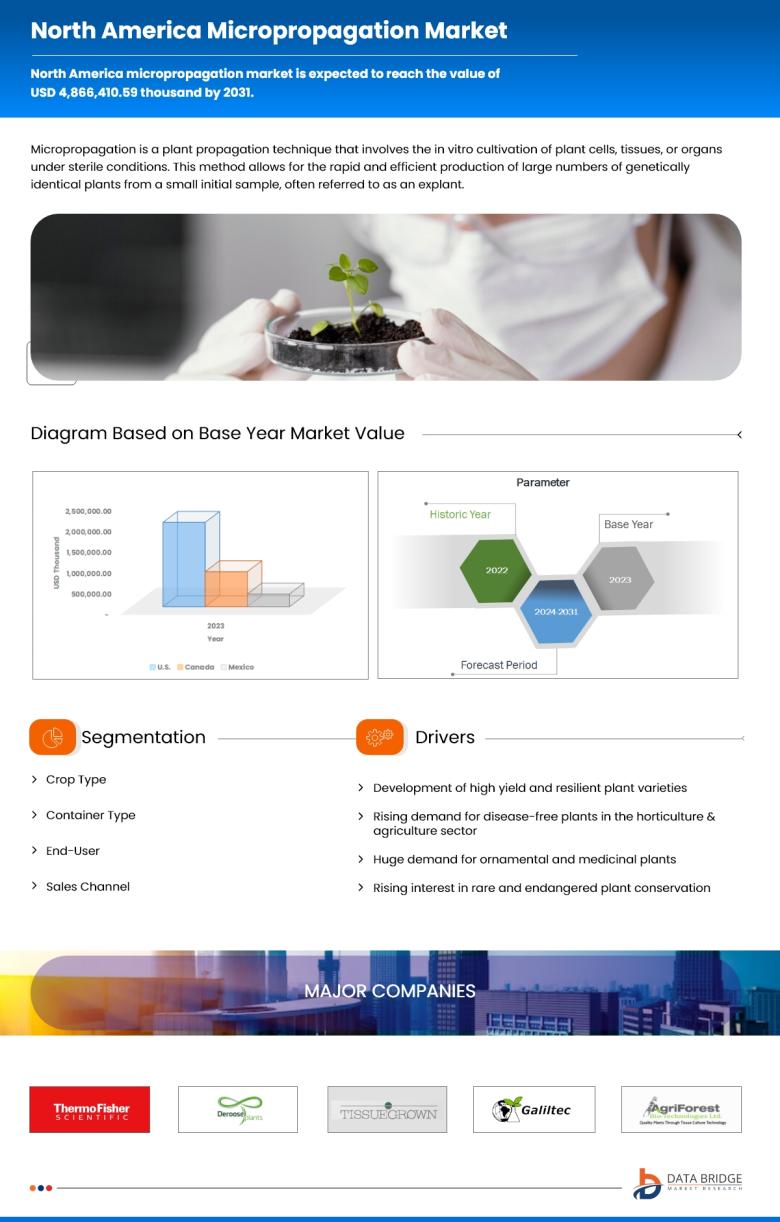 Latin America and North America Micropropagation Market