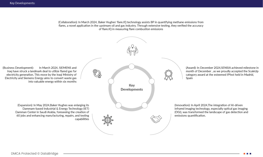 Flare Monitoring Market