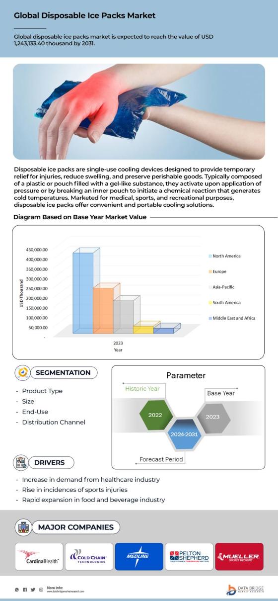 Disposable Ice Packs Market