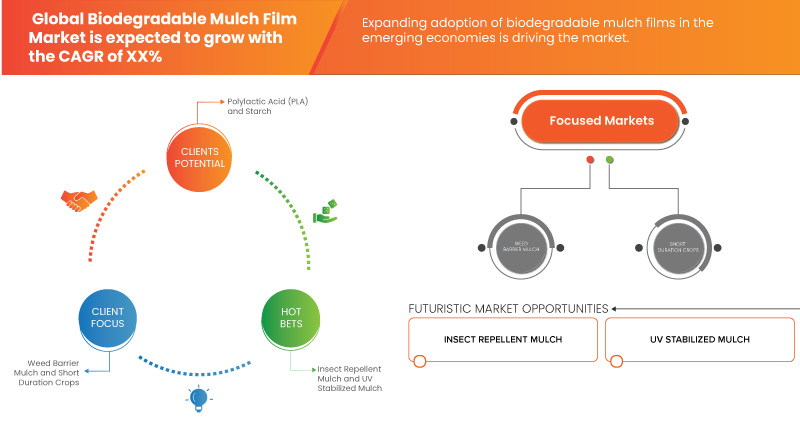 Biodegradable Mulch Film Market