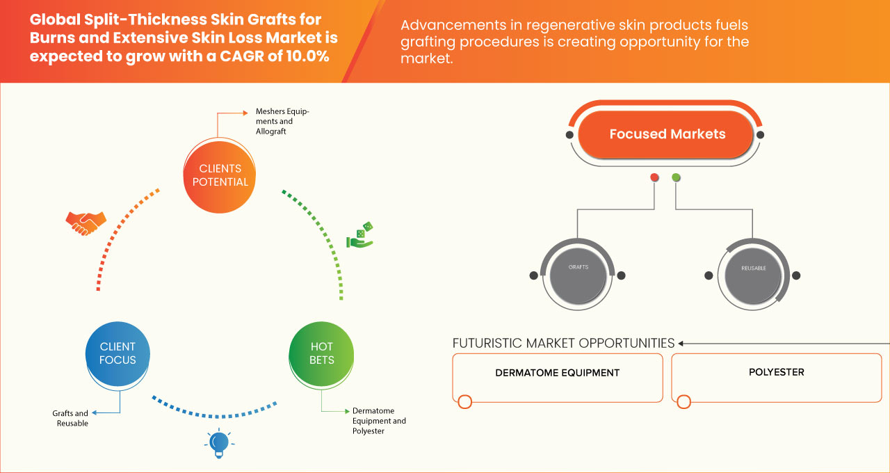 Split-Thickness Skin Grafts for Burns and Extensive Skin Loss Market