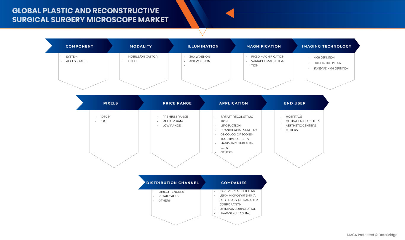 Plastic and Reconstructive Surgery Surgical Microscope Market