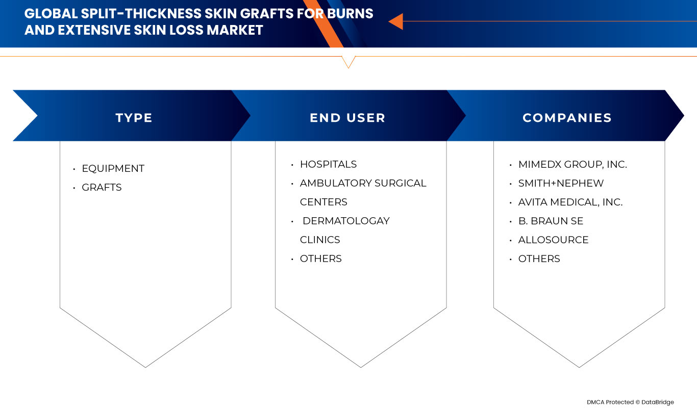 Split-Thickness Skin Grafts for Burns and Extensive Skin Loss Market