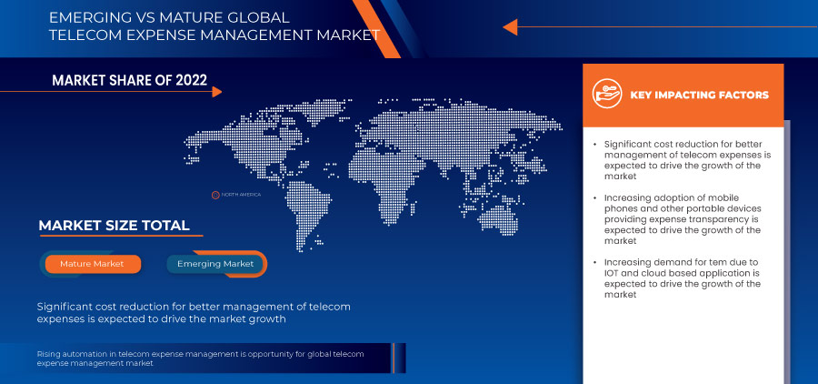 Telecom Expense Management Market