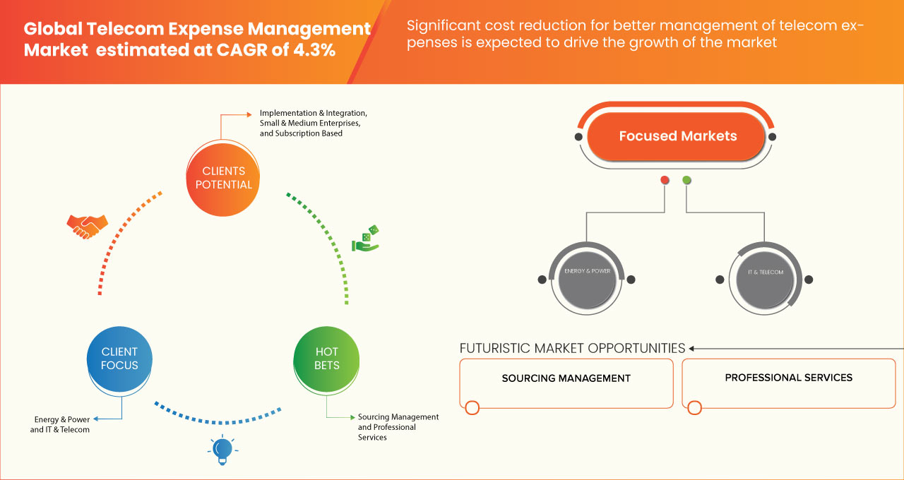 Telecom Expense Management Market