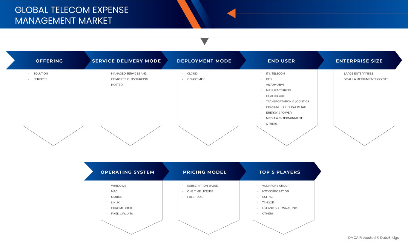 Telecom Expense Management Market