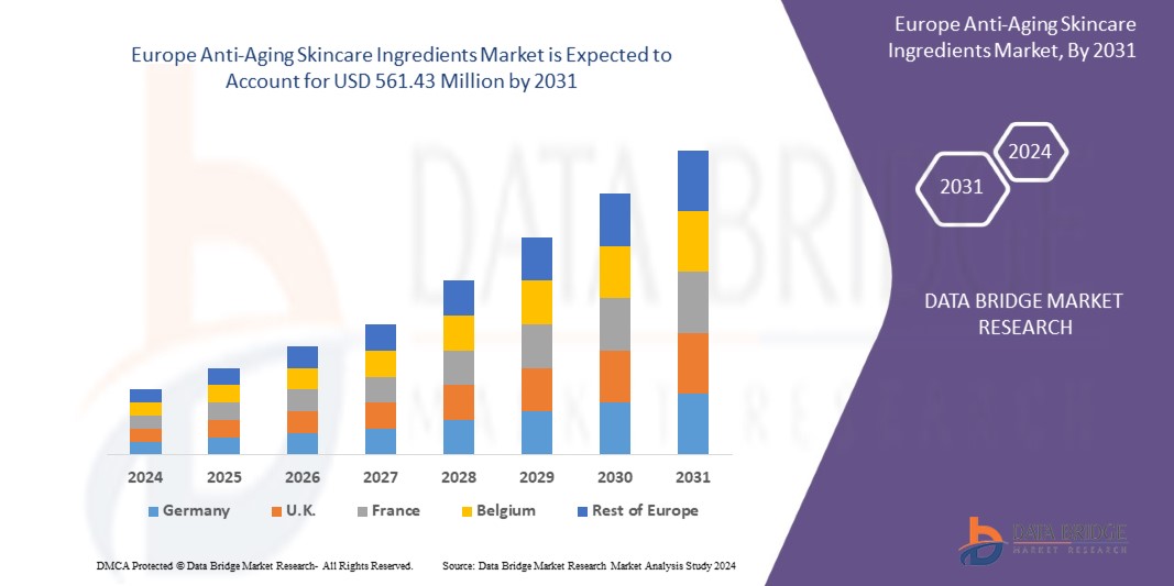 Anti-Aging Skincare Ingredients Market