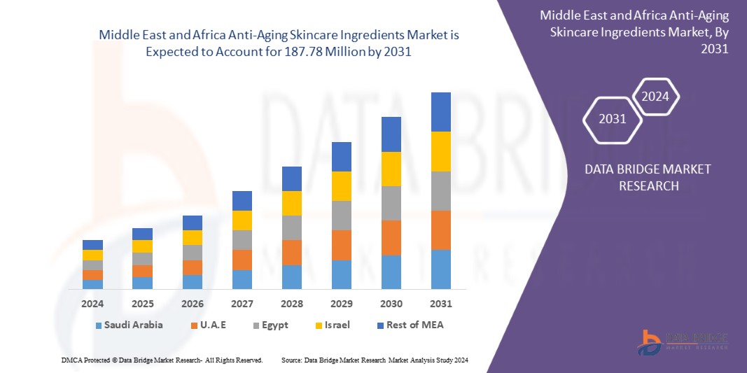 Middle East and Africa Anti-Aging Skincare Ingredients Market