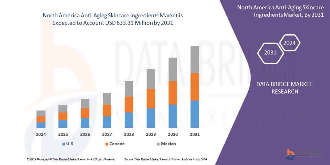 North America Anti-Aging Skincare Ingredients Market