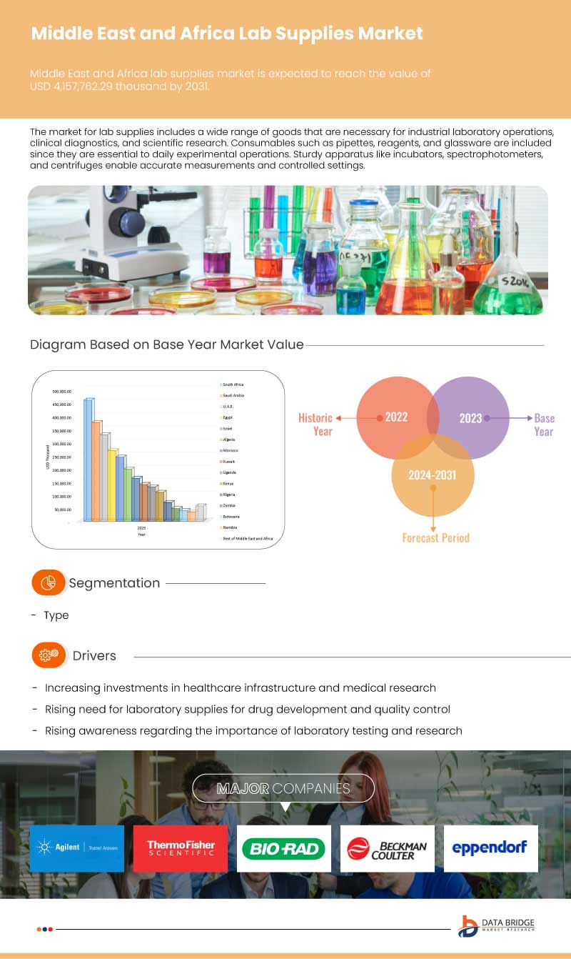 Middle East and Africa Lab Supplies Market